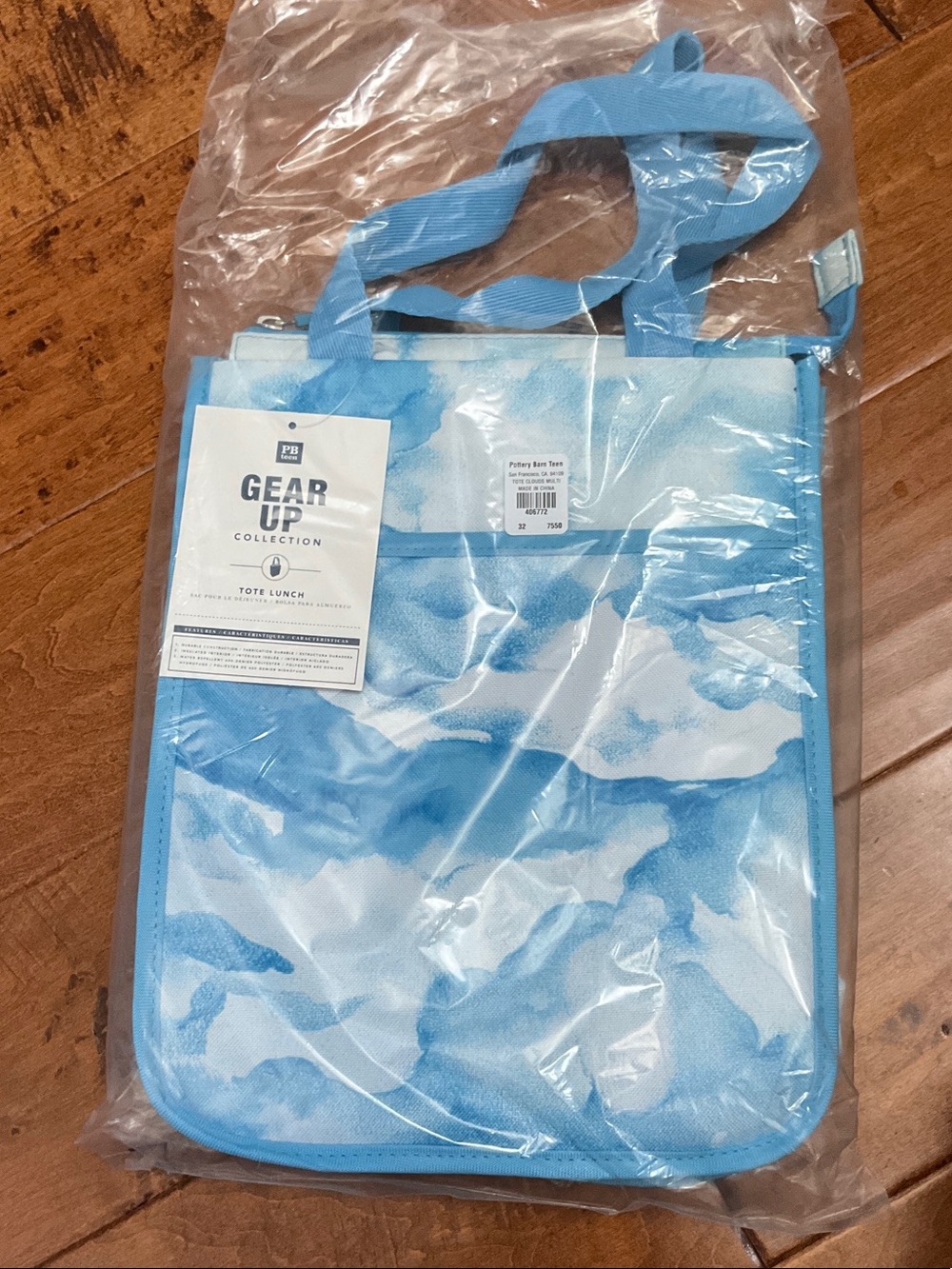 Pottery Barn Lunch Bag NWT